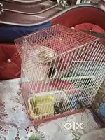 Full.set up birds cage