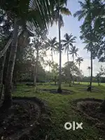 Plot for sale