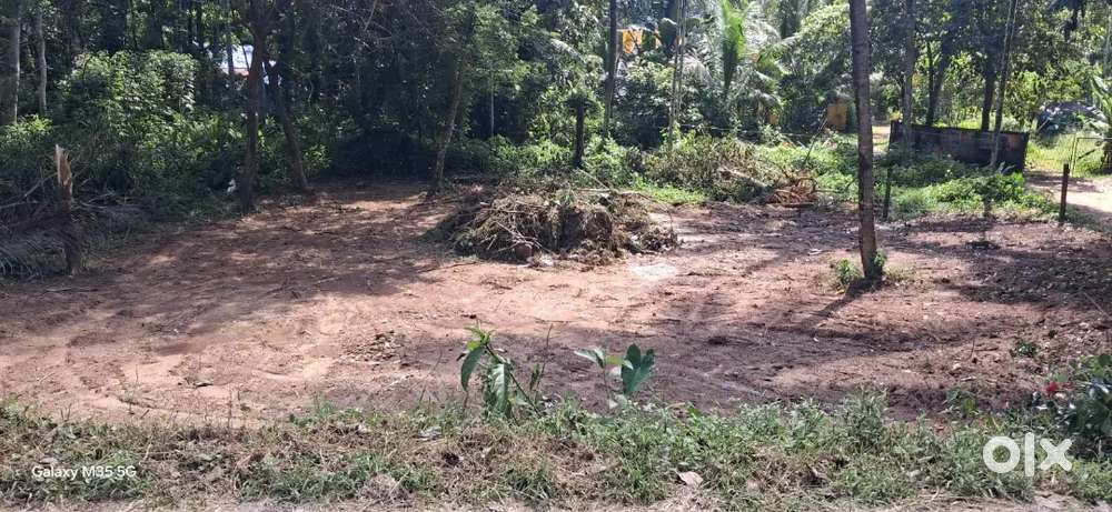 8 cent residential land for urgent sale