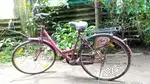 Gently used BSA-LADYBIRD bicycle for sale !!