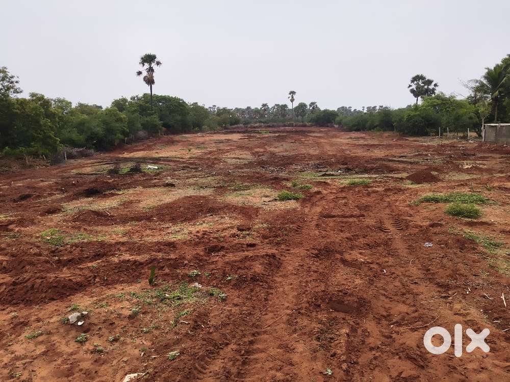 Residential Plot for Sale - Near Athisaya Manal Matha Shrine,Thoothuku