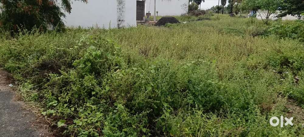 Pallipalayam,veppadai road