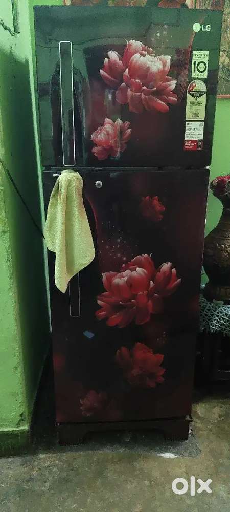 Lg 2 door fridge