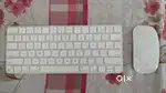 Apple magic keyboard and mouse