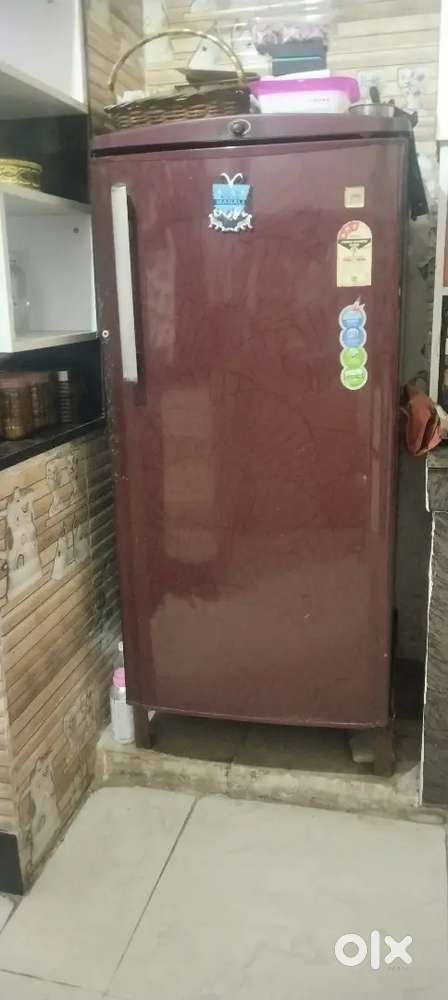 Refrigerator (frig)