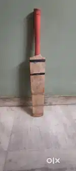 Short hand cricket bat