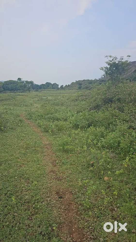 2 acre Farm land available for sale near rayakotai kelamangalam rioad