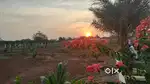 Farm land for sale in KINATHUKADAVU