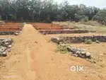 Chottanikkara Eruvely house plot for sale