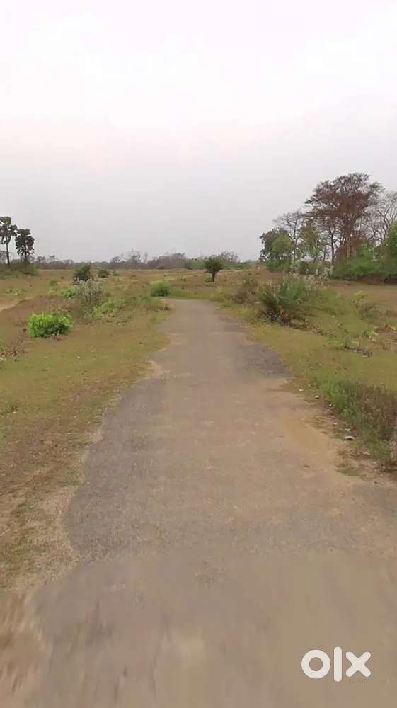 3 ACRE RAYYATI PLOT NEAR MAMURKUDAR MORE