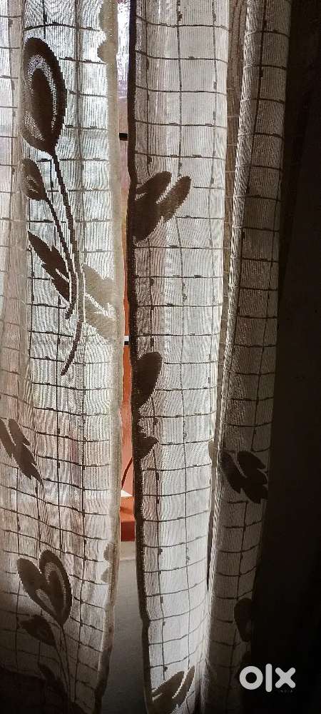 Furnished hostel, pg, kakanadu