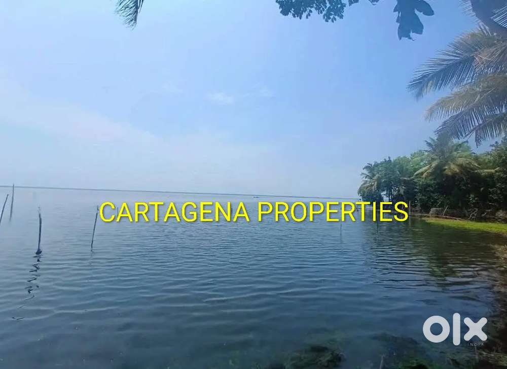 LAKE VIEW LAND & HOUSE, MUHAMMA, ALAPPUZHA, 29.5 CENTS & HOUSE