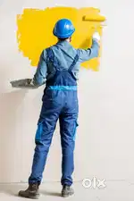 Professional painting contractor at affordable prices