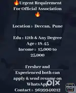 Promotional executive