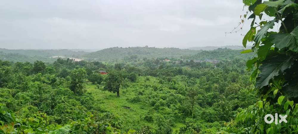 7 acres NA land available for sale in Chandargaon 5cr