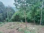 Homestay or Resort