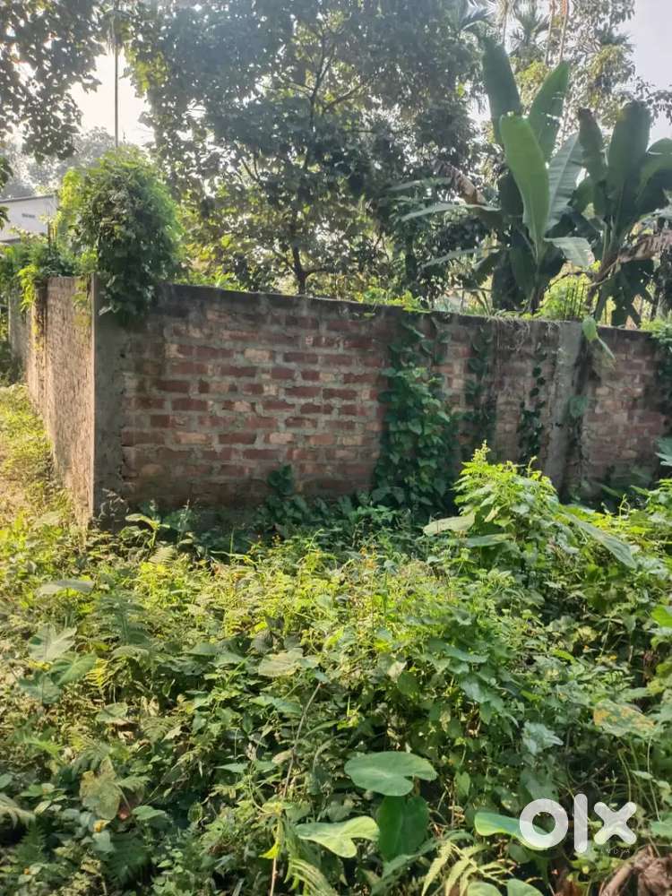 Morikalong t 1Katha Myadi Mari sale Kora hobo