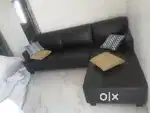 Need male roomate
