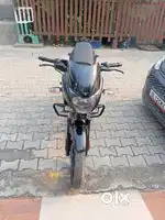 Pulsar 125 Neon disc 2023 all new