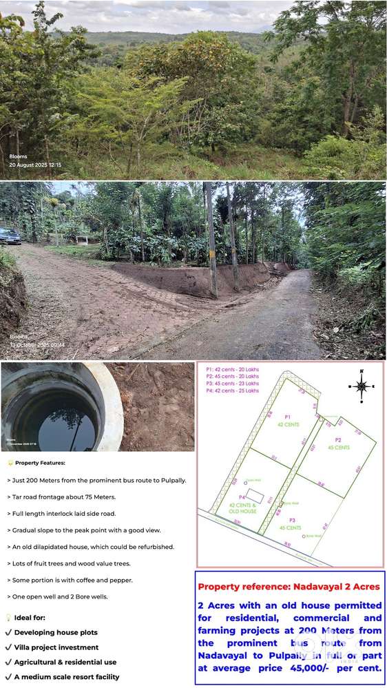 House plots, Villas and Other properties in Wayanad