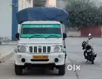 Only for girl and female