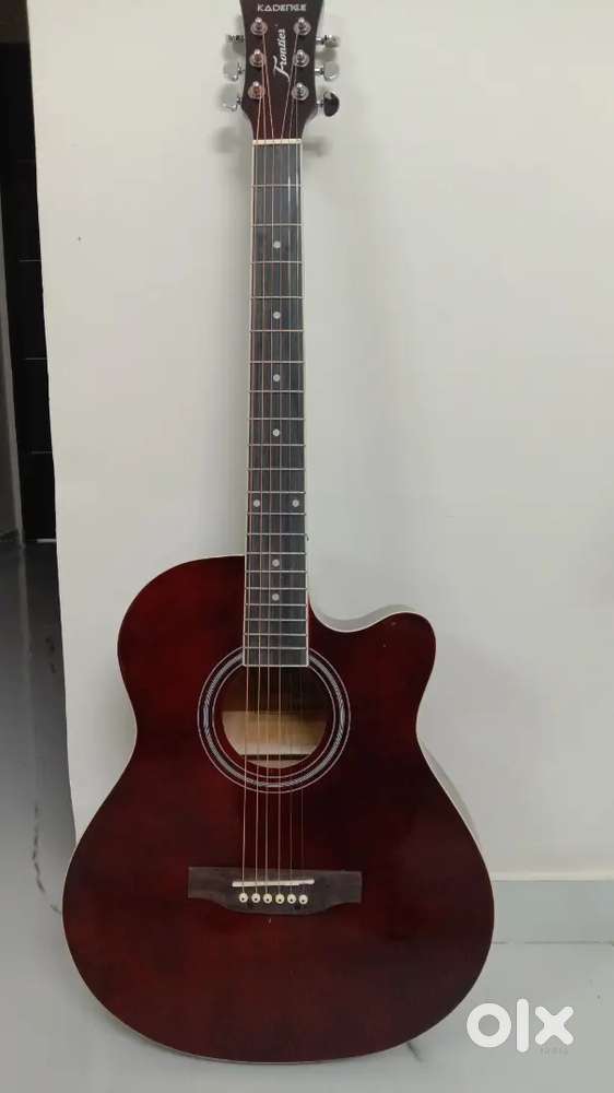 Want brand new guitar at low price?
