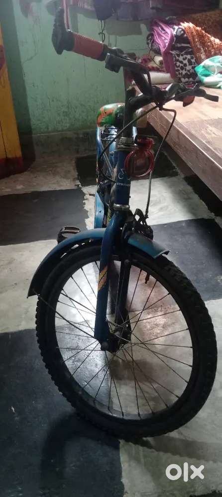 Small cycle in  one year old