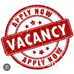 Accountant