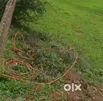 Arjent sell