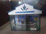 Fish Aquarium
