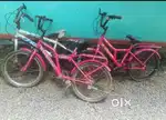 Sprint 20size cycle vengara