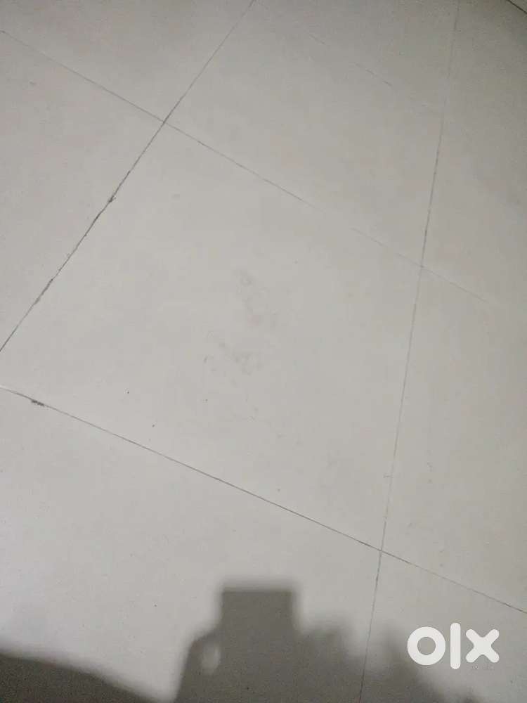 Independent house for rent small family 1 bhk 1 room 1 hall