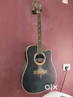 Acoustic Guitar