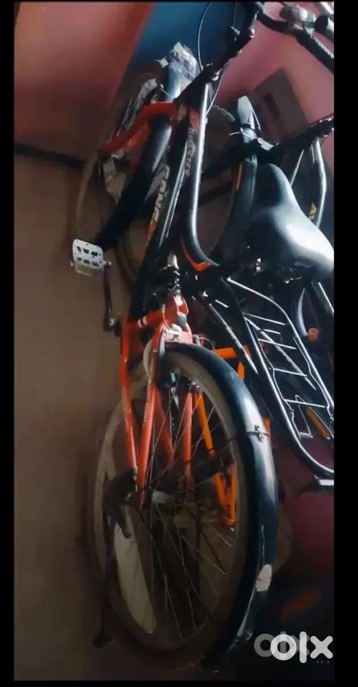 Best cycle