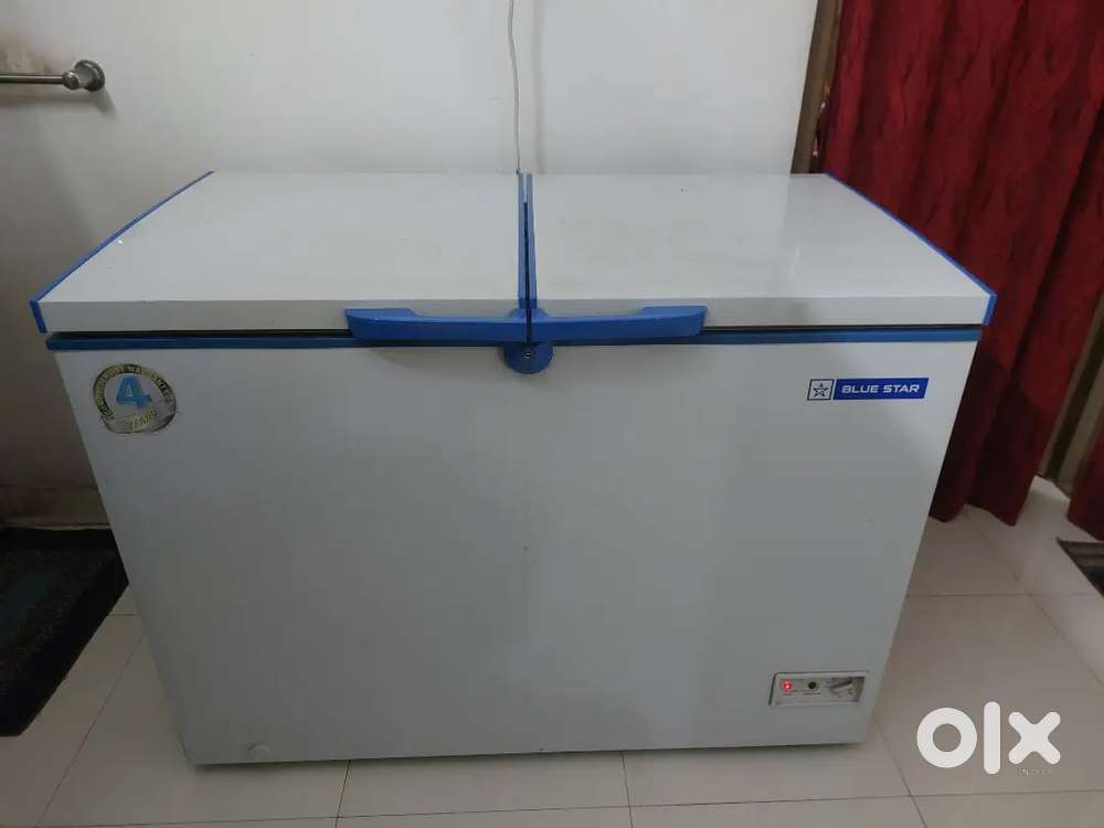 Bluestar chest freezer for sale