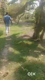 1Bigha to 5 Bigha Agriculture Land for sale near NH -117 DH Road