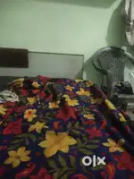 Room Mate female Requerrd