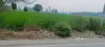 4 acre agriculture land