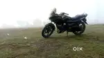 Single owner, no insurance,