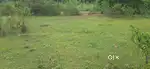 Wonderful VMRDA Plot for sale