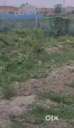 Residential Plot for Sale at Balganga, Raghunathpur, Motihari.