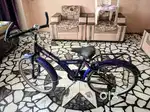 Akash company cycle