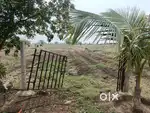 फार्महाउस प्लॉट 7000sqrft best location