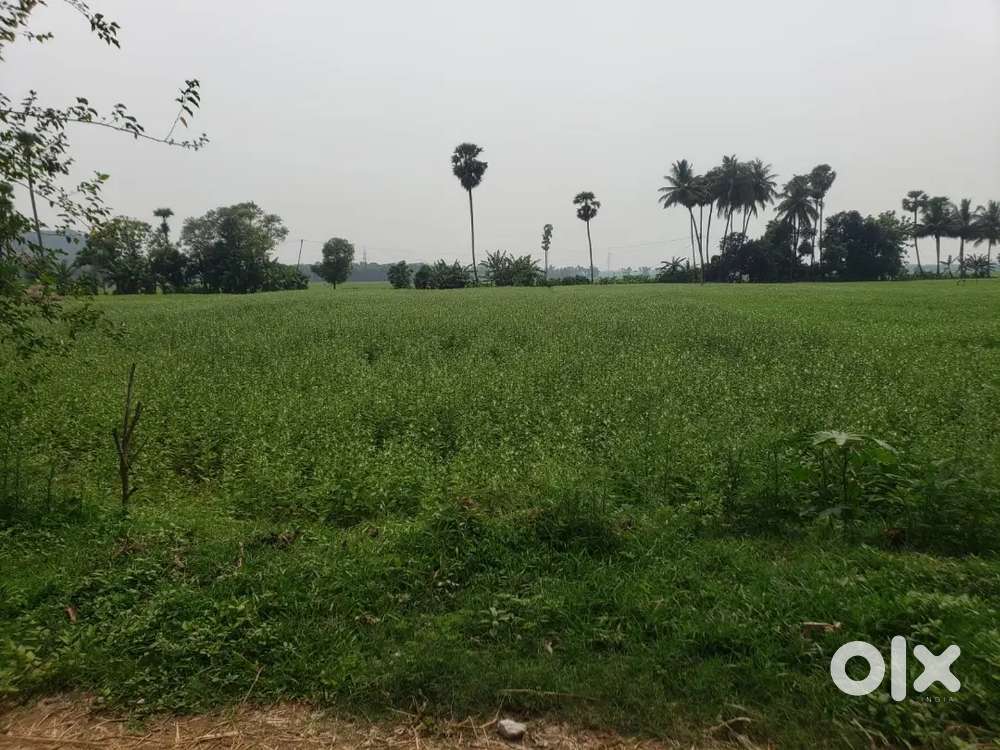 355 sqyds, East facing Vuda plot. Boyipalem,. No brokers