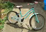 Bubblegum Kids Bicycle