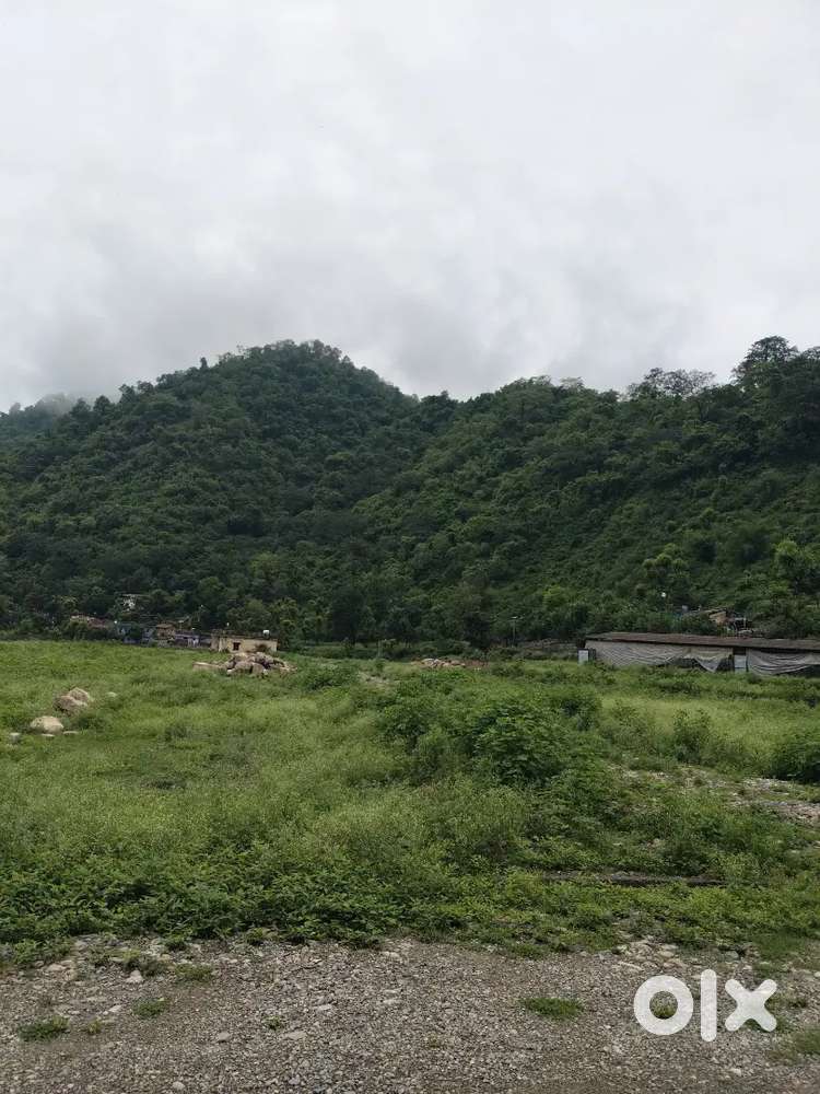 Plots Available in Thano for investment.