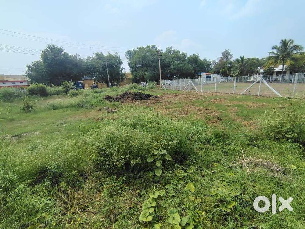 Road Facing - 5231 sqft -Commercial - Residential Plot