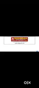 Sales executive