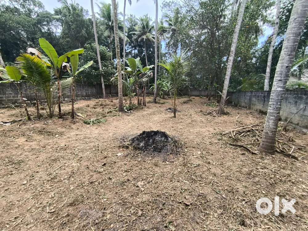 Tecnlcity,pothencode valarea aduth karabhoomi per cent 3.85 lak