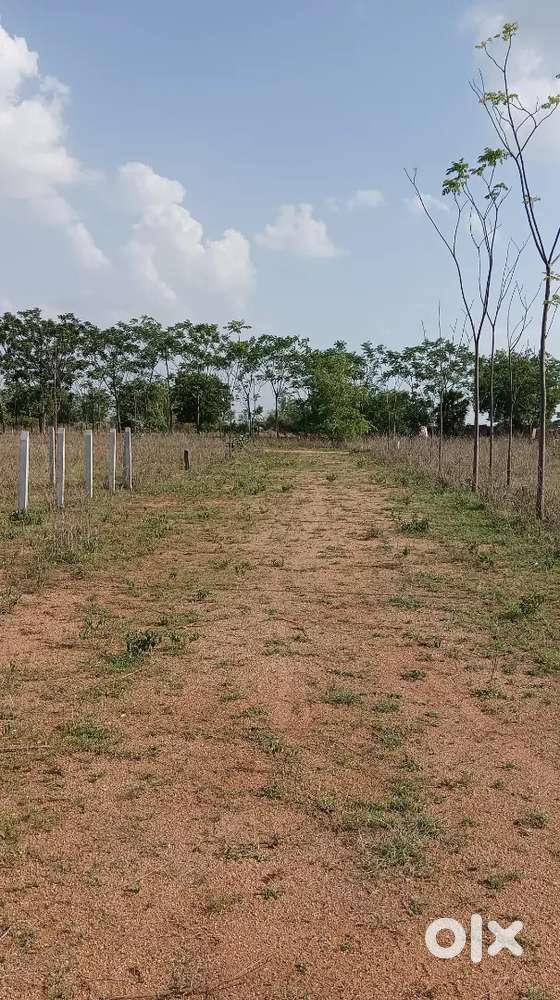 Ramakrishna colony Thimmapur knr